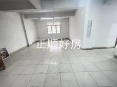 微信图片_20241028180020