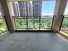 IMG_20240621_114442