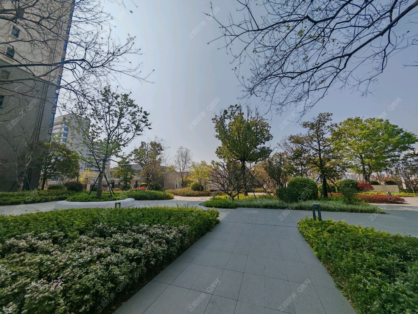 实景图
