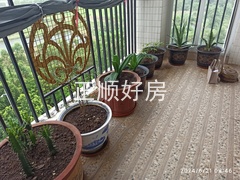 IMG_20240621_084609