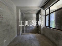 20250228_163652