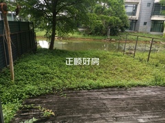 tmpimage.jpgtmpimage