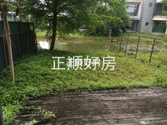 tmpimage.jpgtmpimage