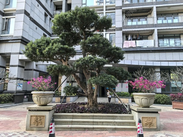 中天维港4室2厅3卫在售房源图片