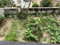 IMG_20240528_143016