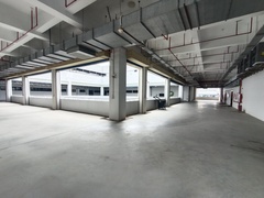 IMG_20241012_095030