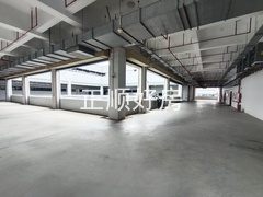 IMG_20241012_095030