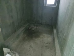 卫生间