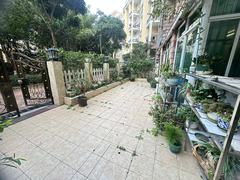 后院