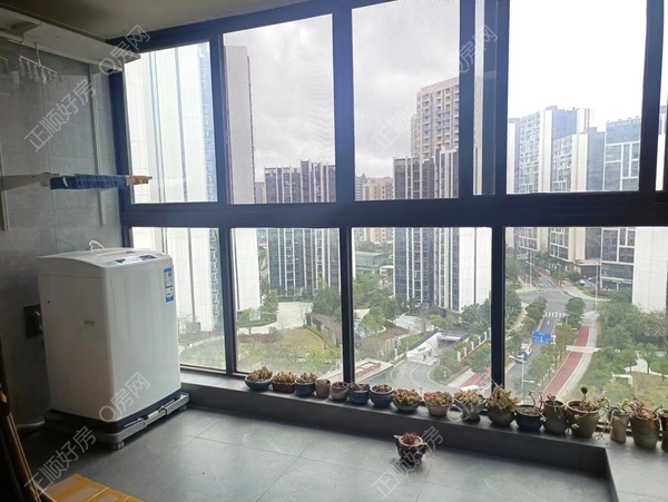 微信图片_202402181708351