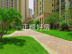 小区道路1