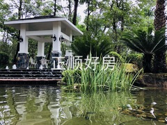 园林8