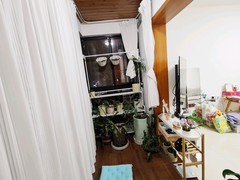 tmpimage