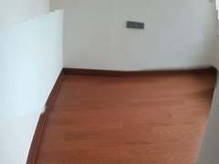 dad9a5100a061675283d64bb26de99c