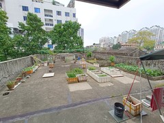 大平台