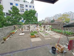大平台