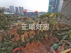 阳台