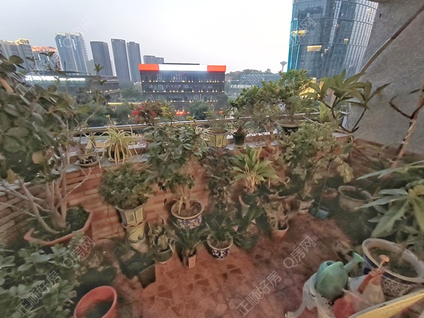 阳台