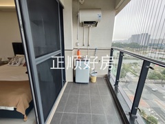 IMG20240220093254