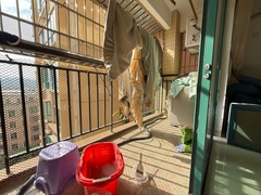 阳台