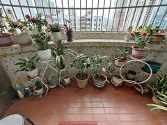 阳台