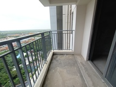 IMG_20231008_104950