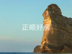 测试
