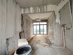 IMG_20241125_132748