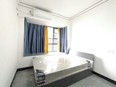 IMG_20250513_145338