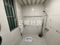 IMG_20250405_164754
