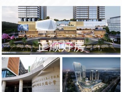 环境 (1)