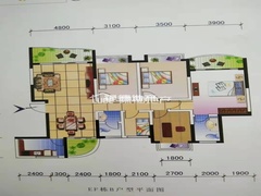 house_img