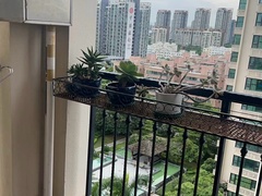 阳台