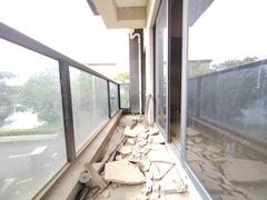 IMG_20241125_132907