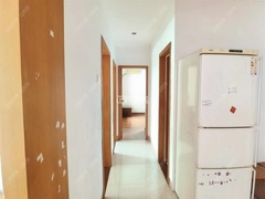 sE2264110221E4F51B9CAE5CD247DF348.jpg12825066