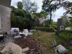 IMG_20241125_133708