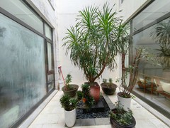 中空小花园