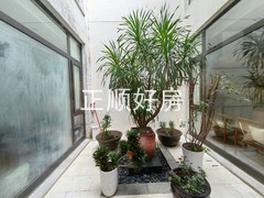 中空小花园