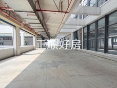 IMG_20241012_101147