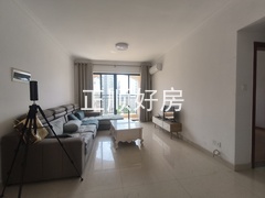 IMG20230731144336