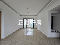20241119_105350