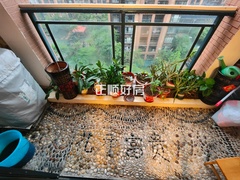 tmpimage.jpgtmpimage