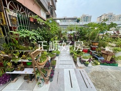 后花园