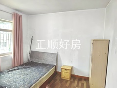 IMG_20240904_175221_edit_3953399481353