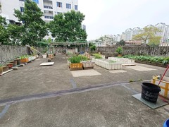 大平台