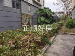 tmpimage