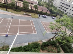 IMG_20241110_093233