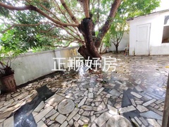 后花园1