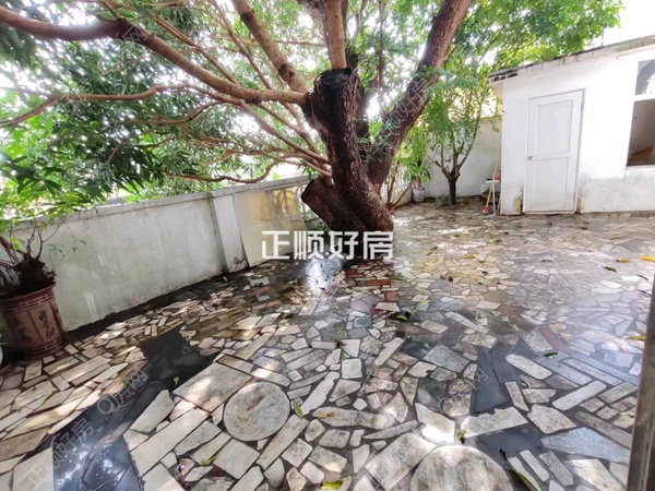 后花园1