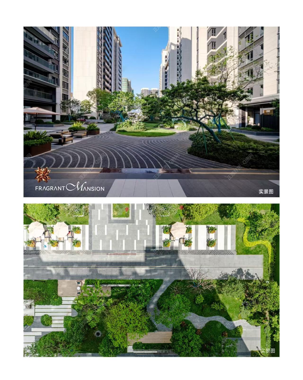 实景图